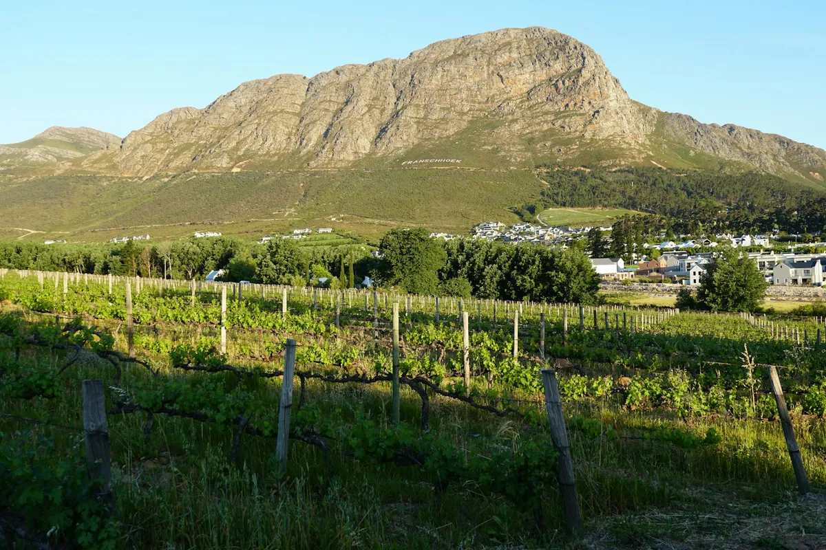 Môreson Cottage, a farm cottage in Winelands